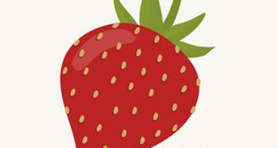 4photoshopir-strawberries-vector-pack1-وکتور توت فرنگی پک1