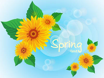 4photoshopir-sunflower-pack2-وکتور گل آفتابگردان پک2