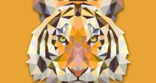 4photoshopir-tiger-vector-pack1-وکتور ببر پک1