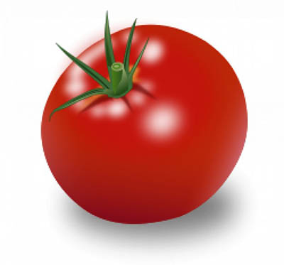4photoshopir-tomato-pack1-وکتور گوجه پک1