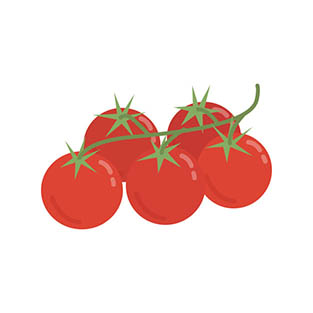4photoshopir-tomato-pack2-وکتور گوجه پک2