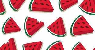 4photoshopir-watermelon- وکتور هندوانهpack1