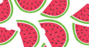 4photoshopir-watermelon-pack2-وکتور هندوانه